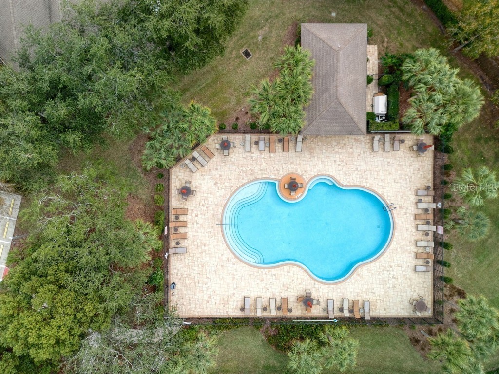 2232 Parrot Fish Drive Holiday FL 34691 TB8455502 image66