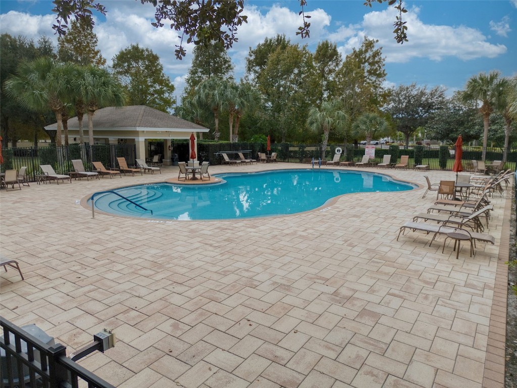 2232 Parrot Fish Drive Holiday FL 34691 TB8455502 image69