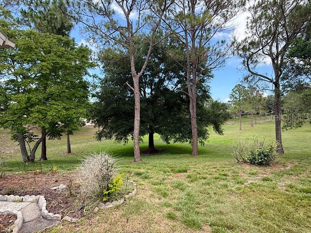 2232 Springmeadow Drive Spring Hill FL 34606 TB8526402 image3