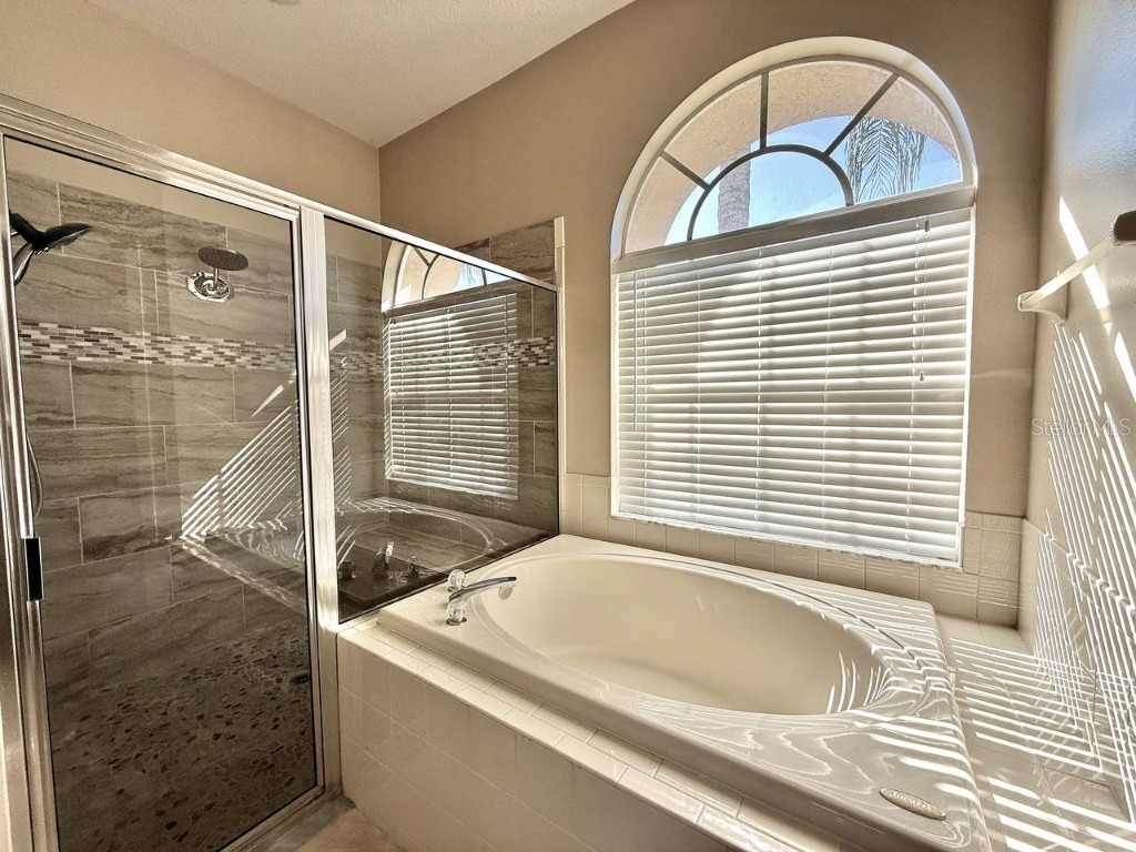 22320 Red Jacket Lane Land O Lakes FL 34639 TB8411901 image11