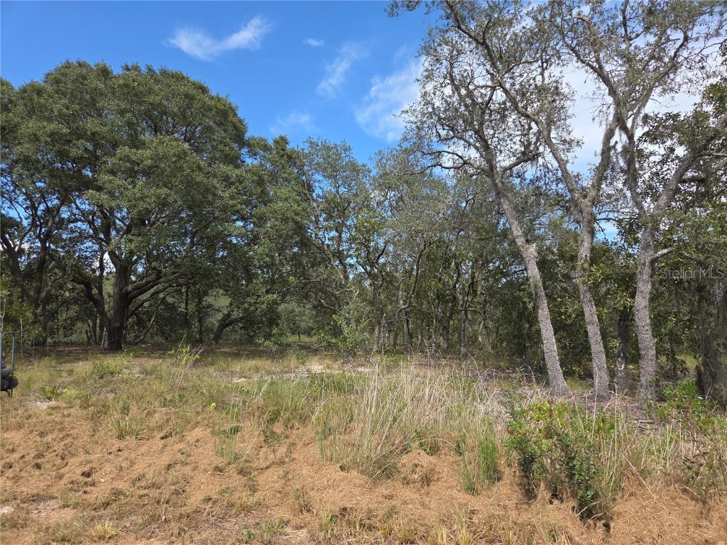 22325 SW Nectarine Lane Dunnellon FL 34431 G5093022 image35