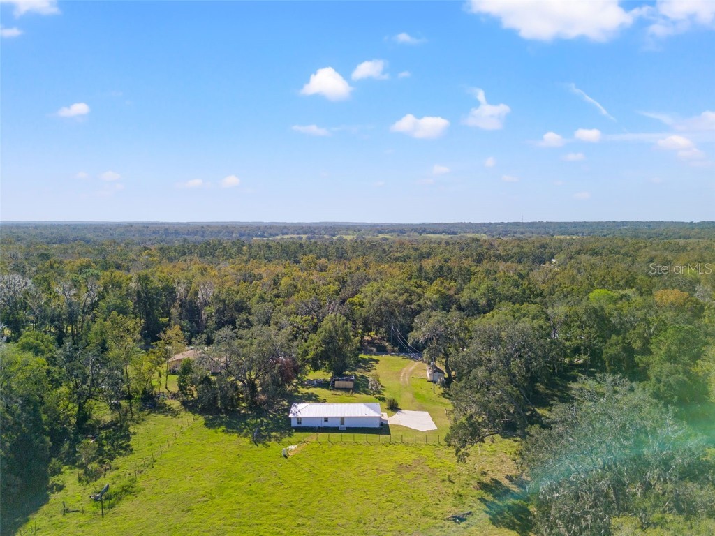 22325 Whitman Road Brooksville FL 34601 W7877456 image24