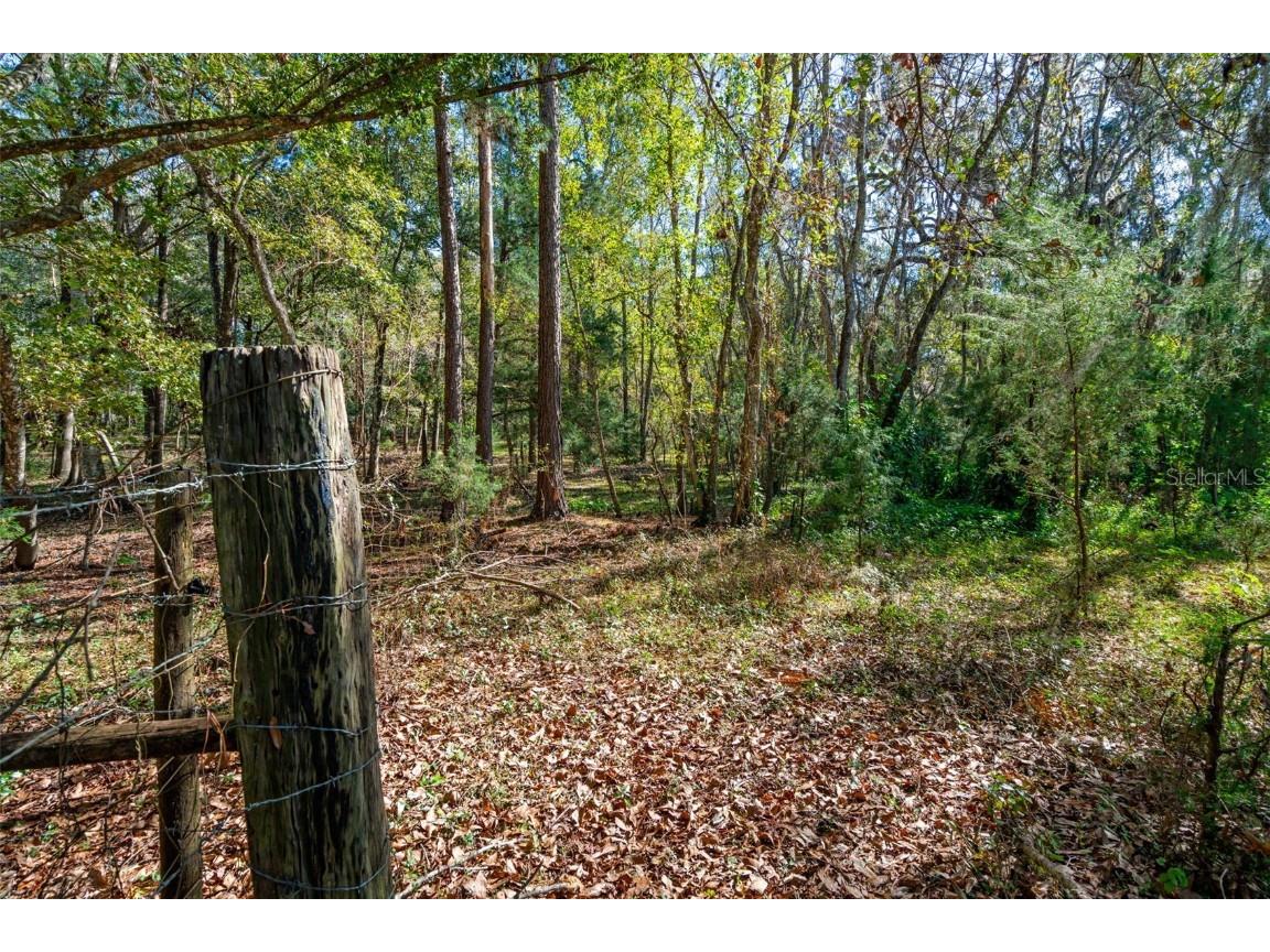 22325 Whitman Road Brooksville FL 34601 W7877456 image28