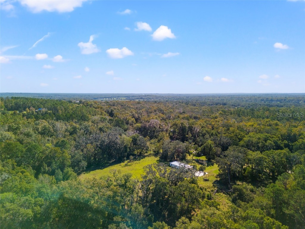 22325 Whitman Road Brooksville FL 34601 W7877456 image29