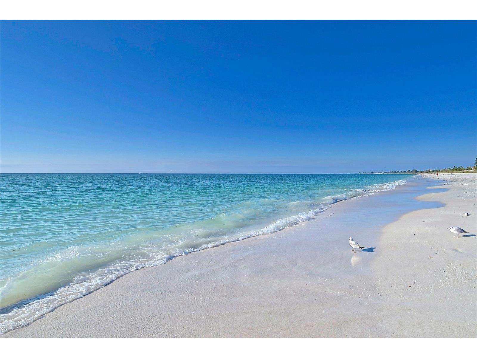 2233 Alice Road Sarasota FL 34231 A4686628 image29