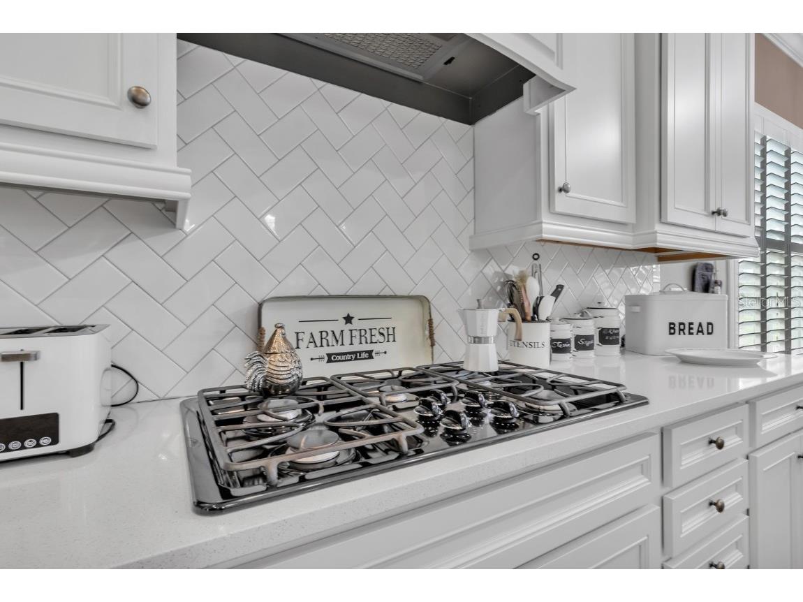 2233 Antilles Club Drive Kissimmee FL 34747 O6311232 image18