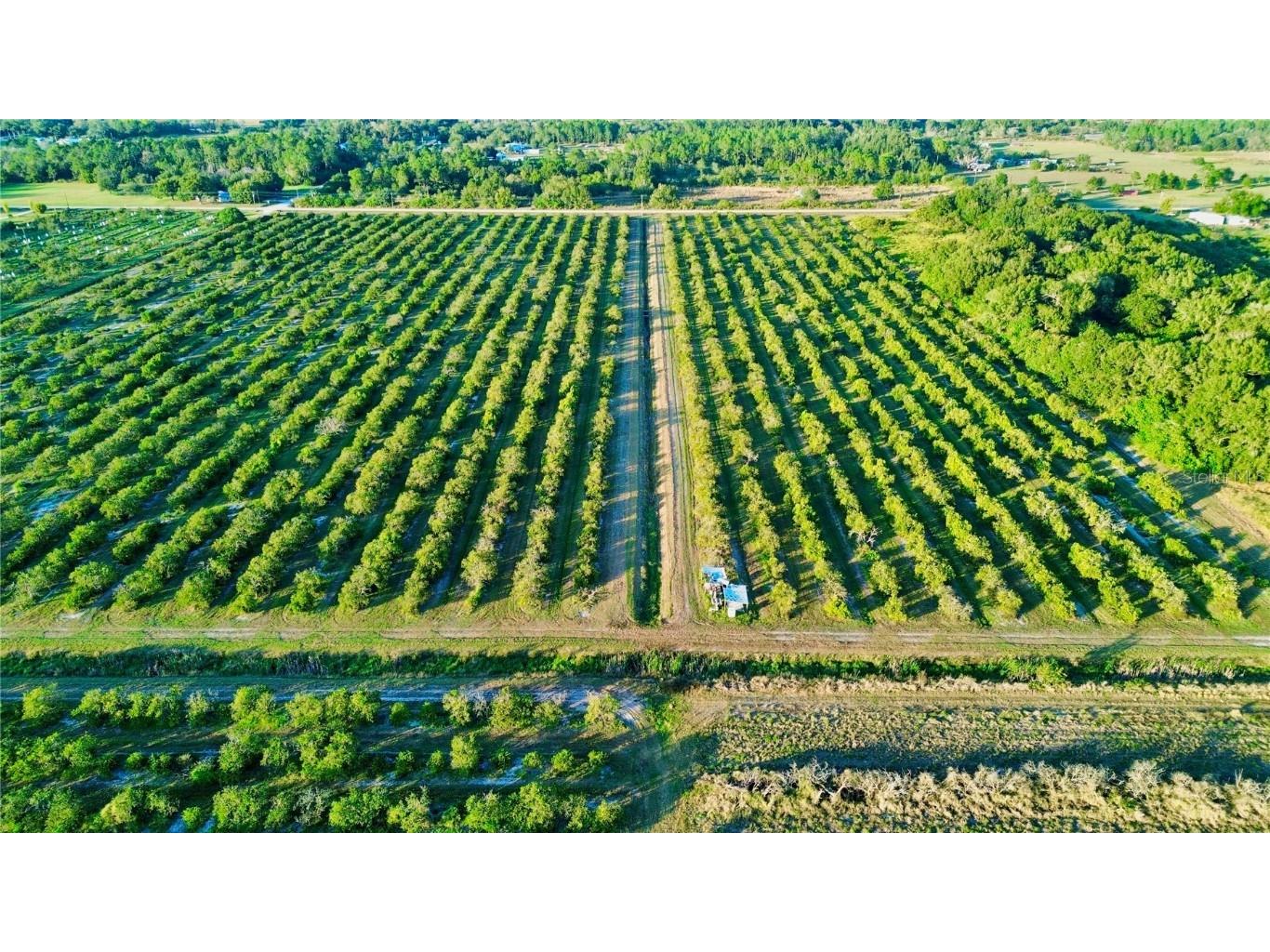 2233 Hicks Road Lorida FL 33857 L4957951 image1