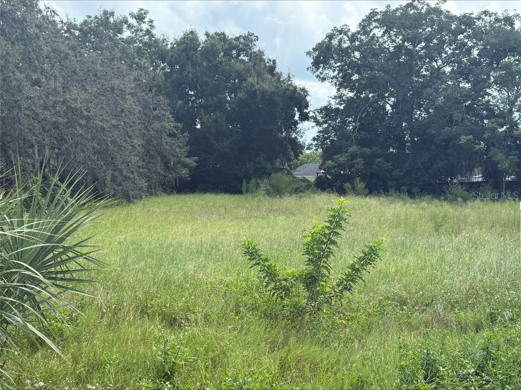 2233 Lake Pickett Road Orlando FL 32826 S5132240 image11