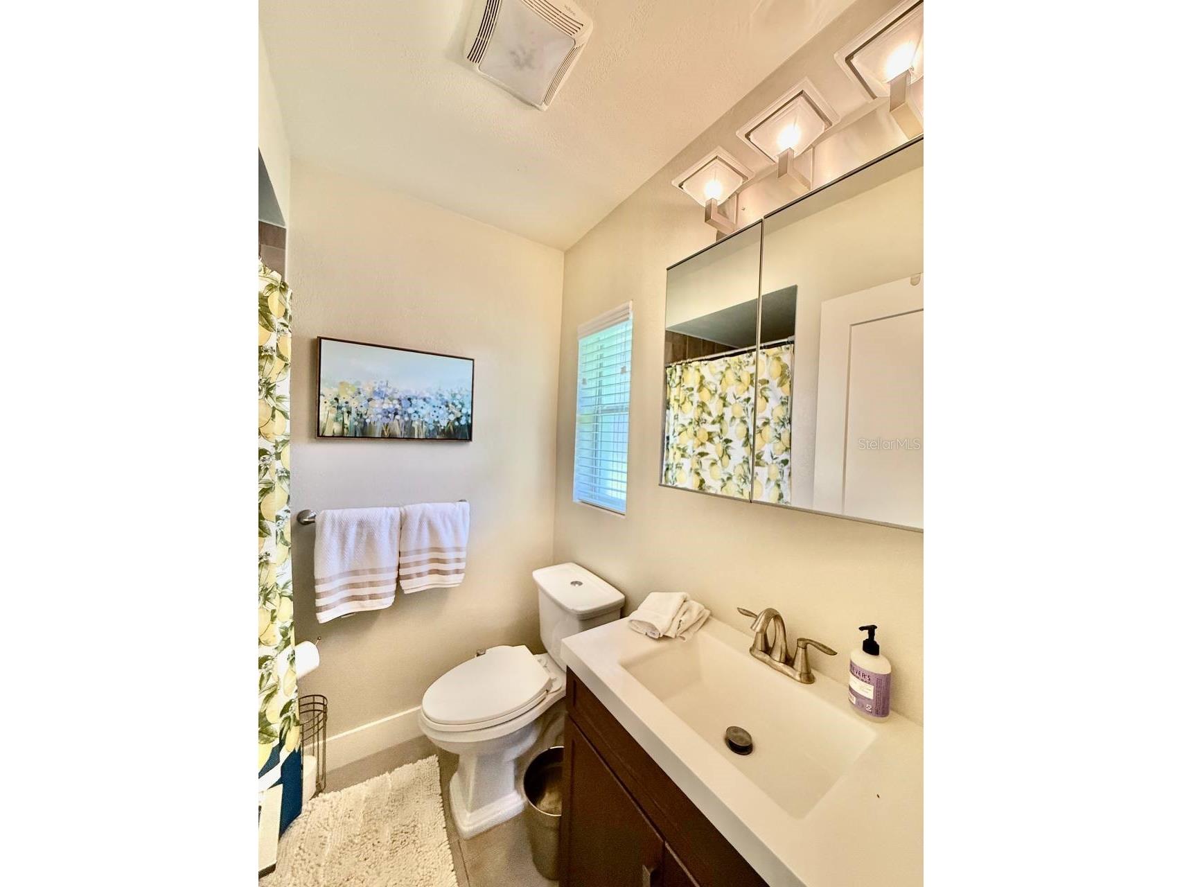 2233 Snead Avenue Dunedin FL 34698 TB8506168 image21