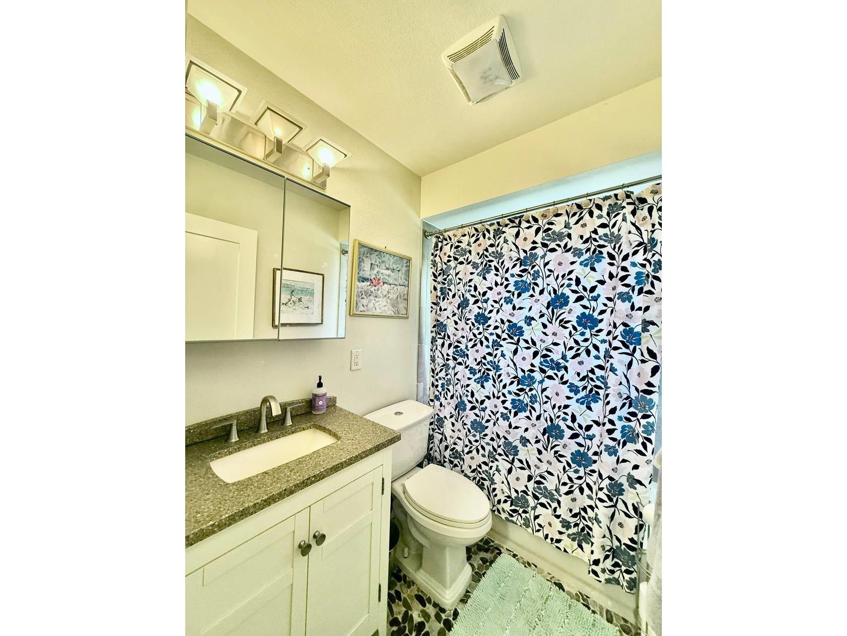 2233 Snead Avenue Dunedin FL 34698 TB8506168 image28