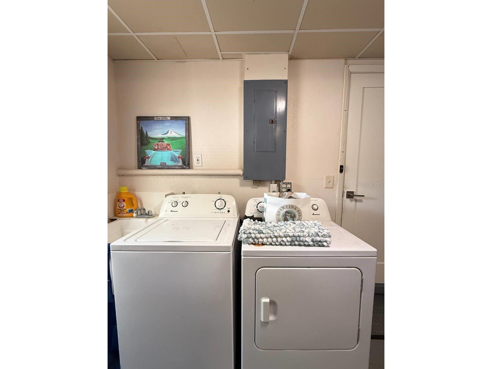 2233 Snead Avenue Dunedin FL 34698 TB8506168 image38