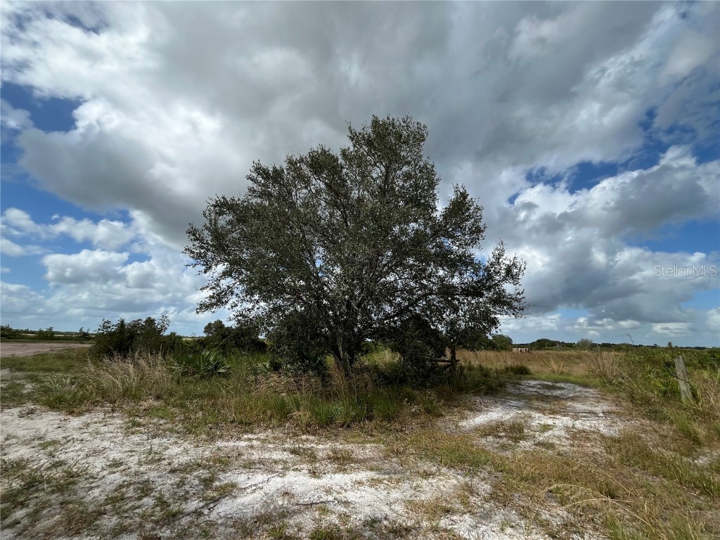 22333 NW 242nd Street Okeechobee FL 34972 OK224598 image1