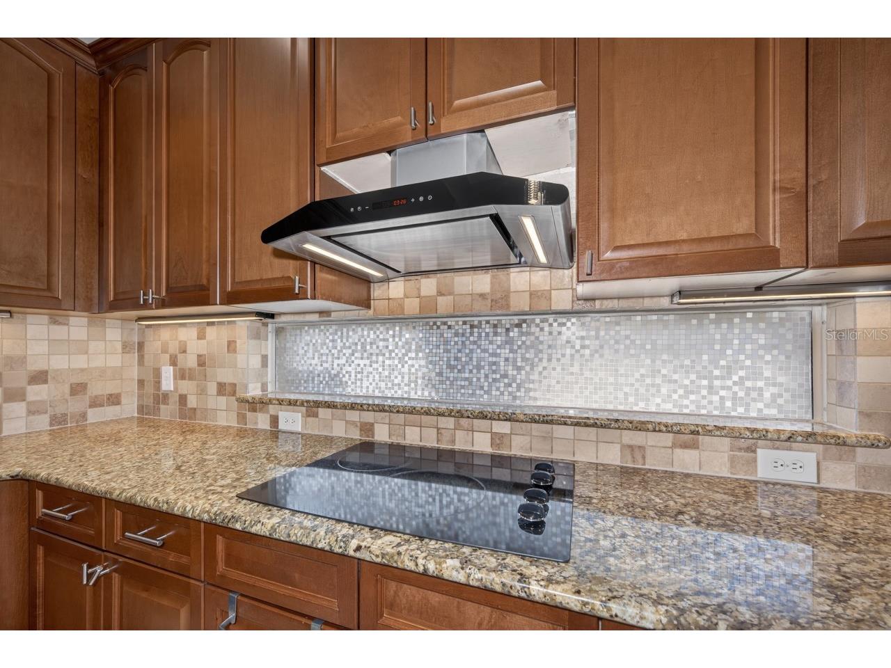 2234 Callaway Court Davenport FL 33837 TB8496268 image15
