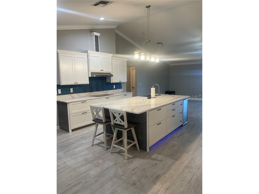 2234 Lake Pointe Circle Leesburg FL 34748 G5104922 image4