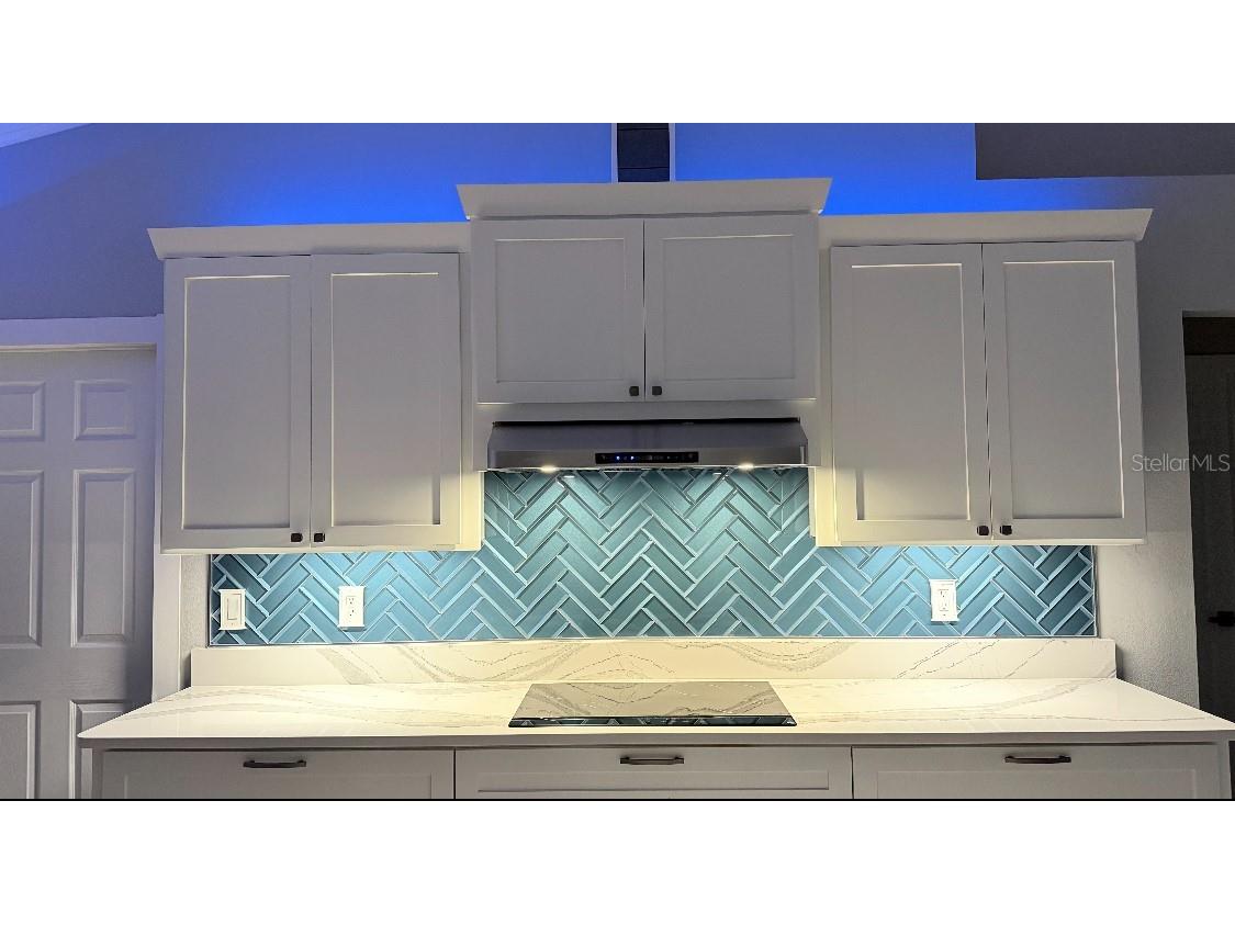 2234 Lake Pointe Circle Leesburg FL 34748 G5104922 image5