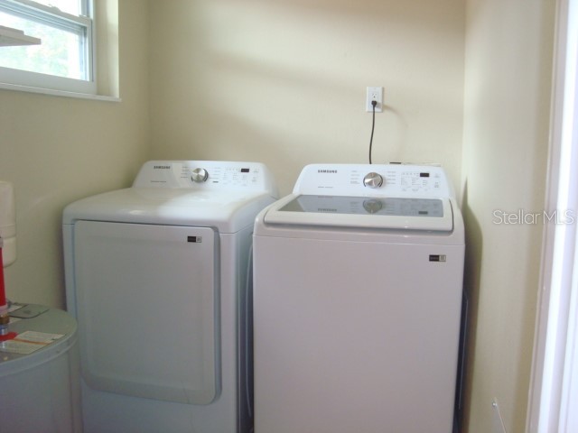 2234 Rose Lane Clearwater FL 33764 TB8515895 image13