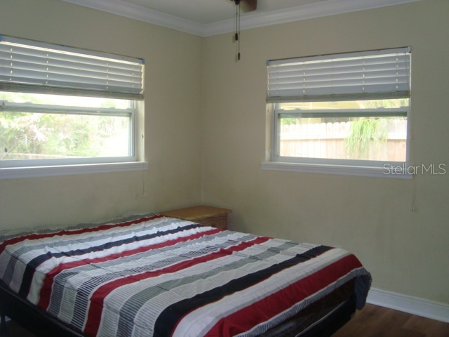 2234 Rose Lane Clearwater FL 33764 TB8515895 image17