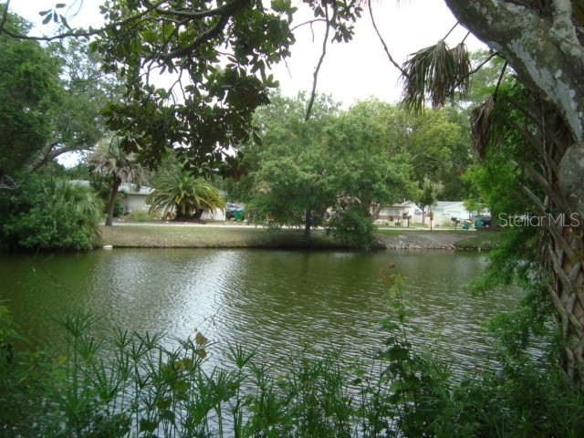 2234 Rose Lane Clearwater FL 33764 TB8515895 image21