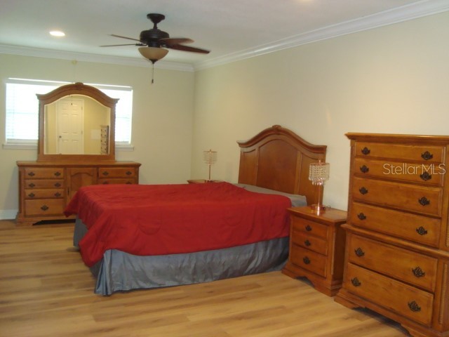 2234 Rose Lane Clearwater FL 33764 TB8515895 image8