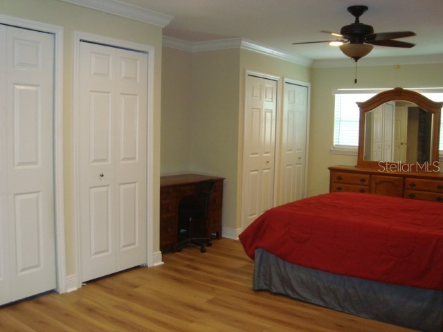 2234 Rose Lane Clearwater FL 33764 TB8515895 image9