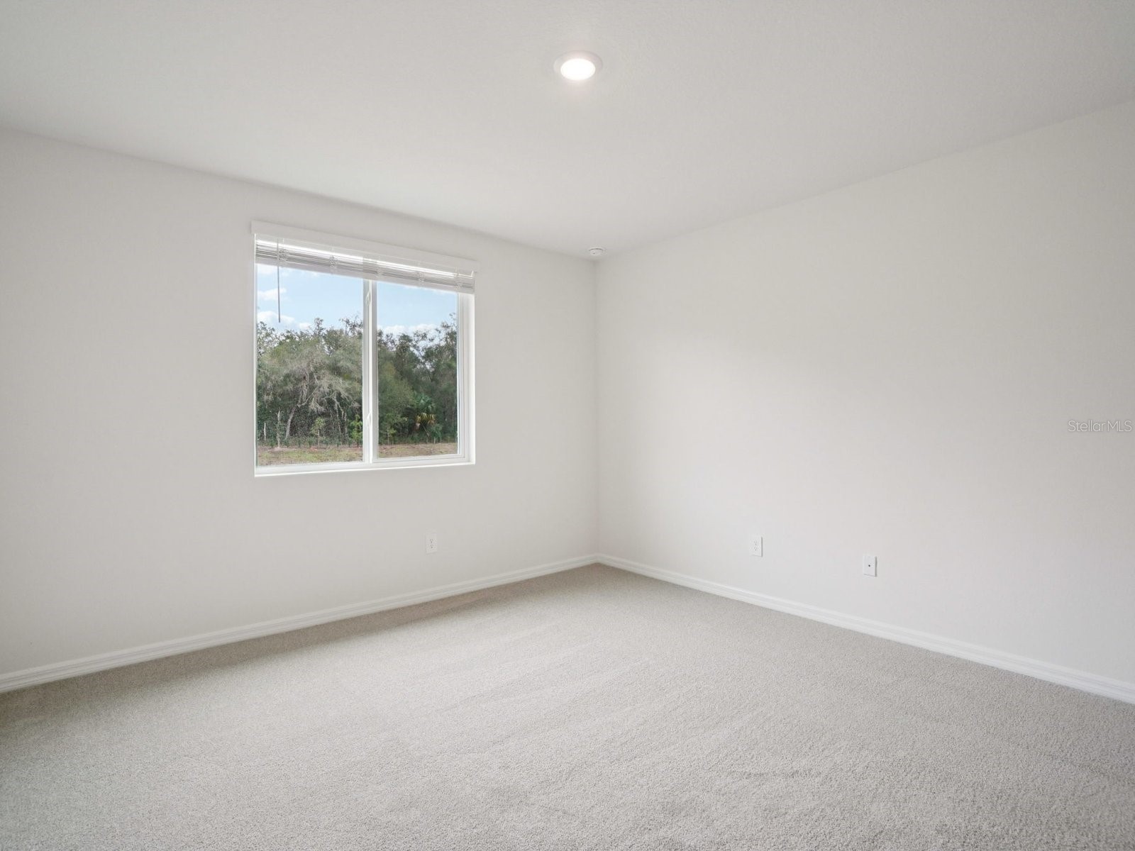 2234 Sageland Way Bartow FL 33830 TB8472474 image11
