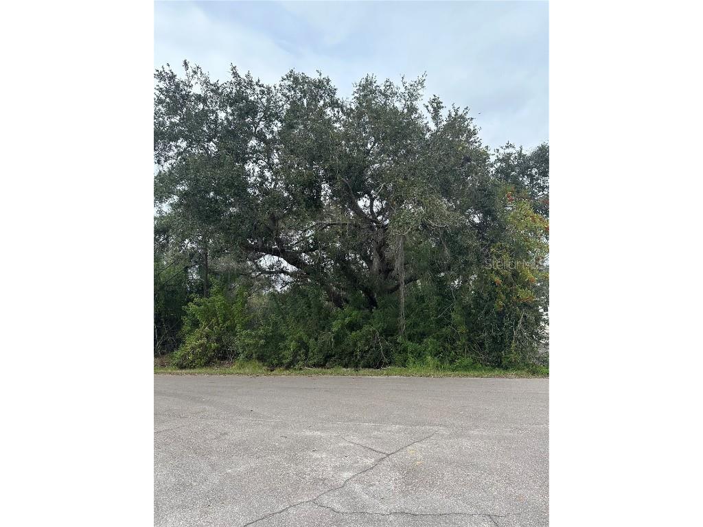 22342 Bradford Avenue Port Charlotte FL 33952 C7486529 image1