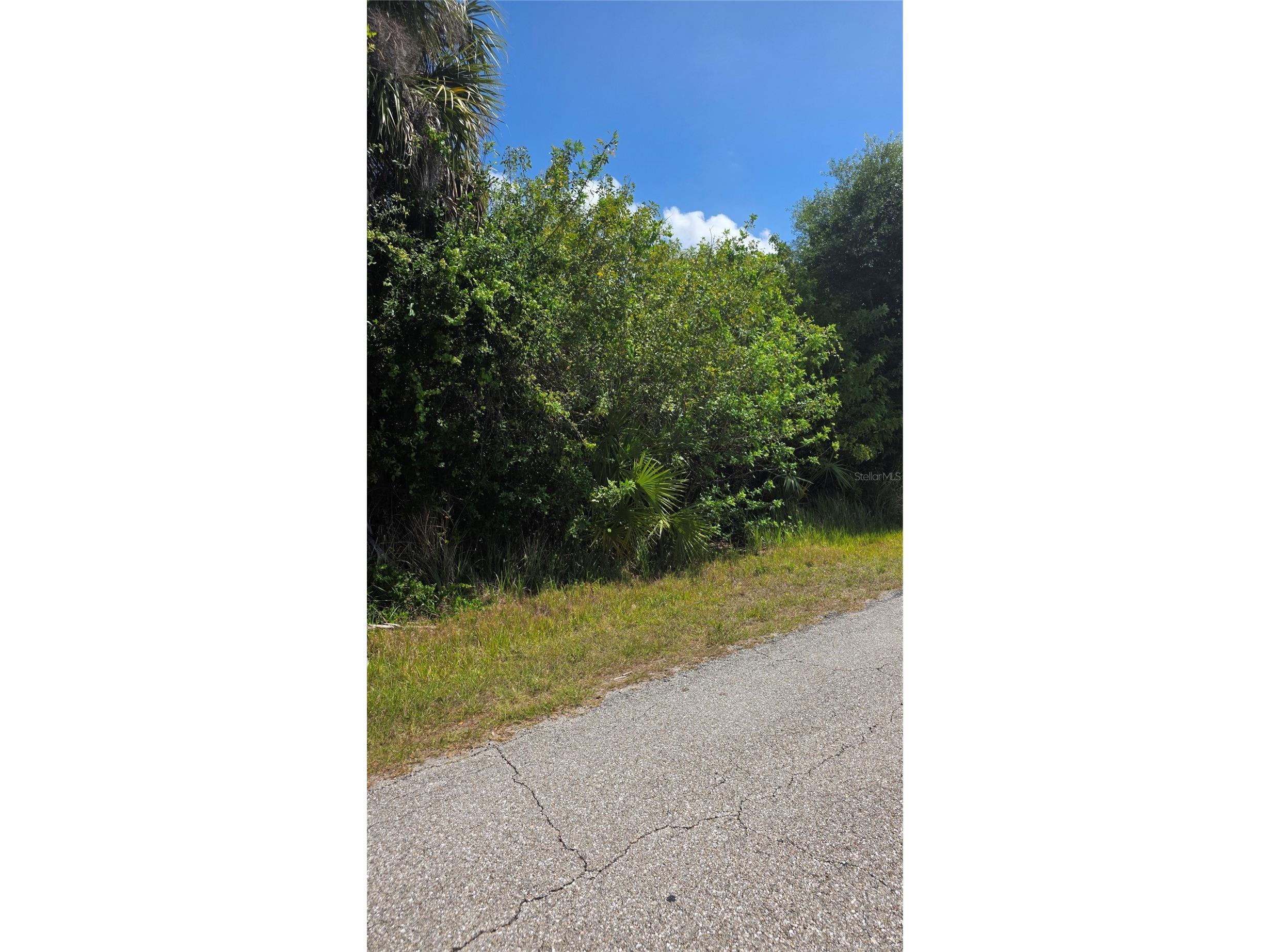 22344 Buffalo Avenue Port Charlotte FL 33952 C7517446 image5