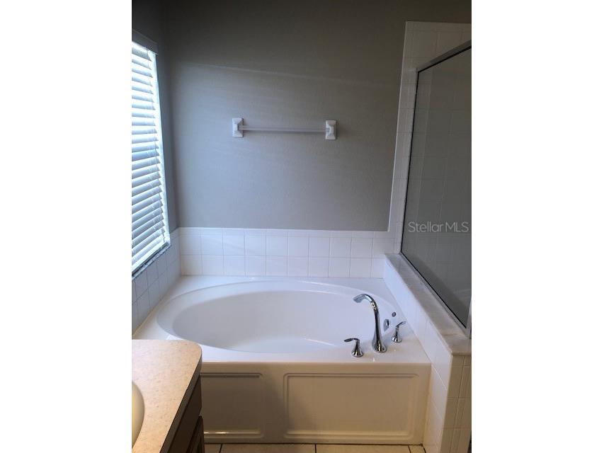 2235 Colville Chase Drive Ruskin FL 33570 TB8489169 image21