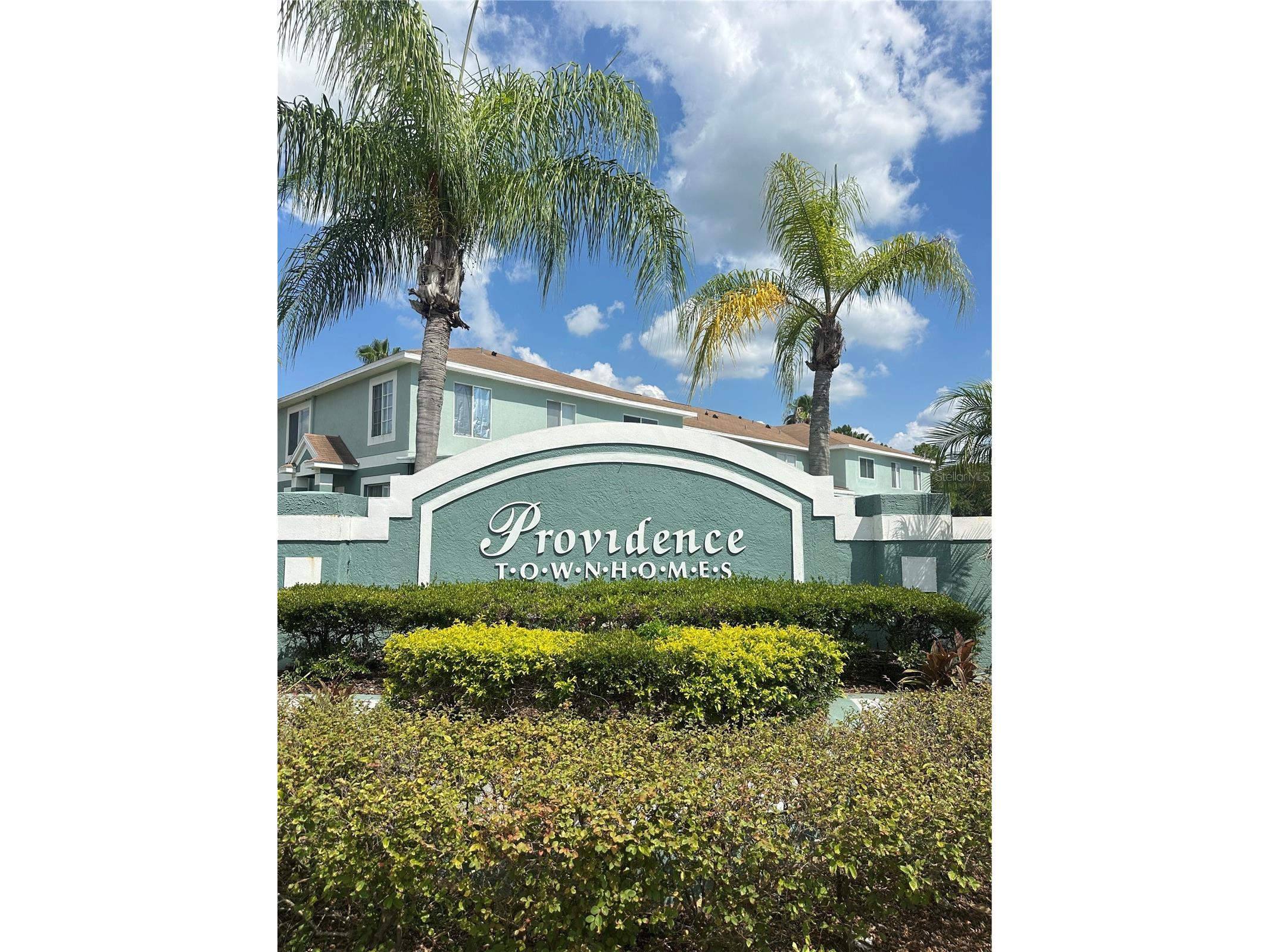 2235 Fluorshire Dr Drive Brandon FL 33511 TB8527525 image14
