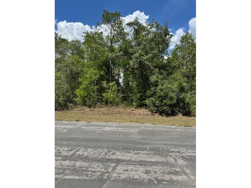 2235 W Summer Place Dunnellon FL 34434 W7875014 image1