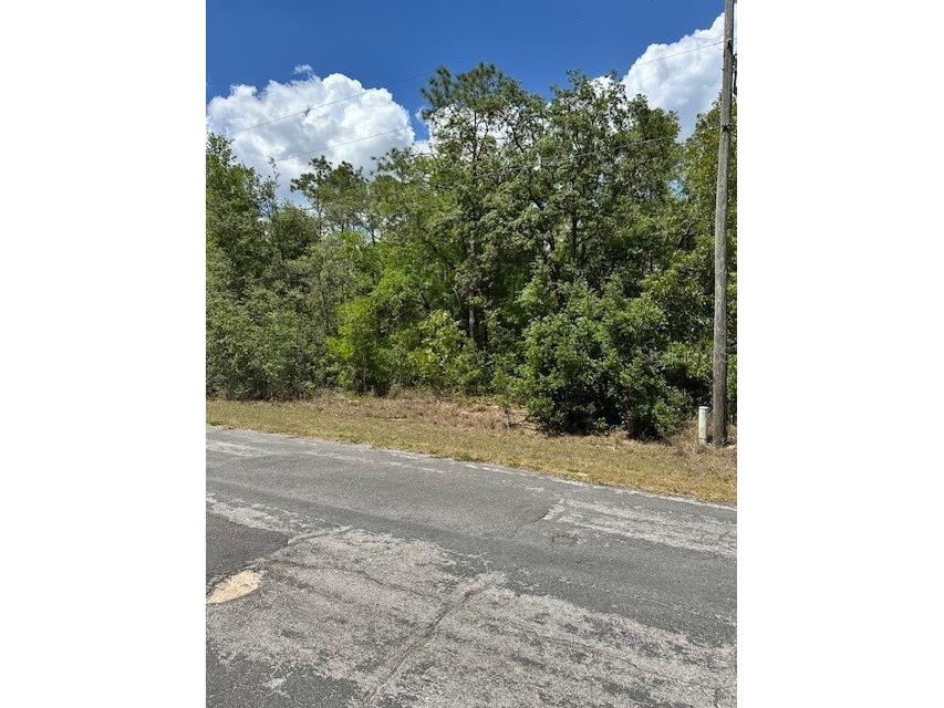2235 W Summer Place Dunnellon FL 34434 W7875014 image2