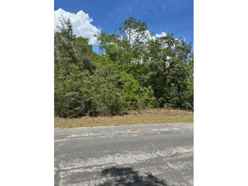2235 W Summer Place Dunnellon FL 34434 W7875014 image3