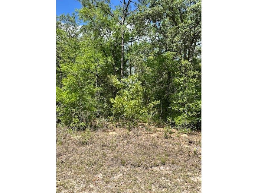 2235 W Summer Place Dunnellon FL 34434 W7875014 image4