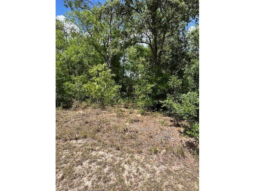 2235 W Summer Place Dunnellon FL 34434 W7875014 image5
