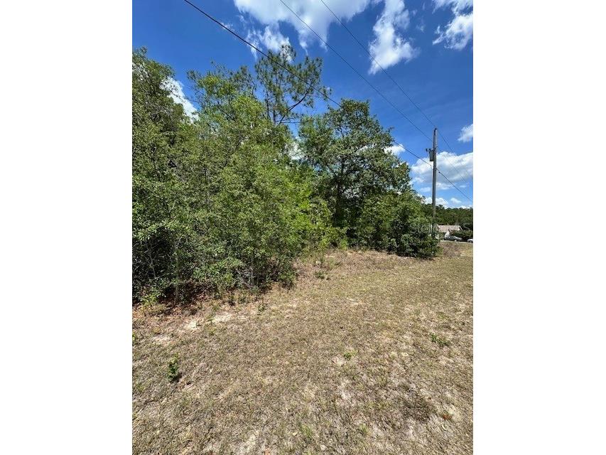 2235 W Summer Place Dunnellon FL 34434 W7875014 image6