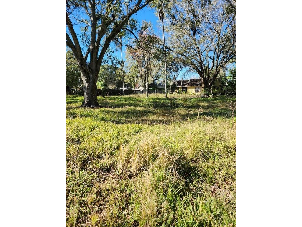 22359 Hale Road Land O Lakes FL 34639 T3433429 image1