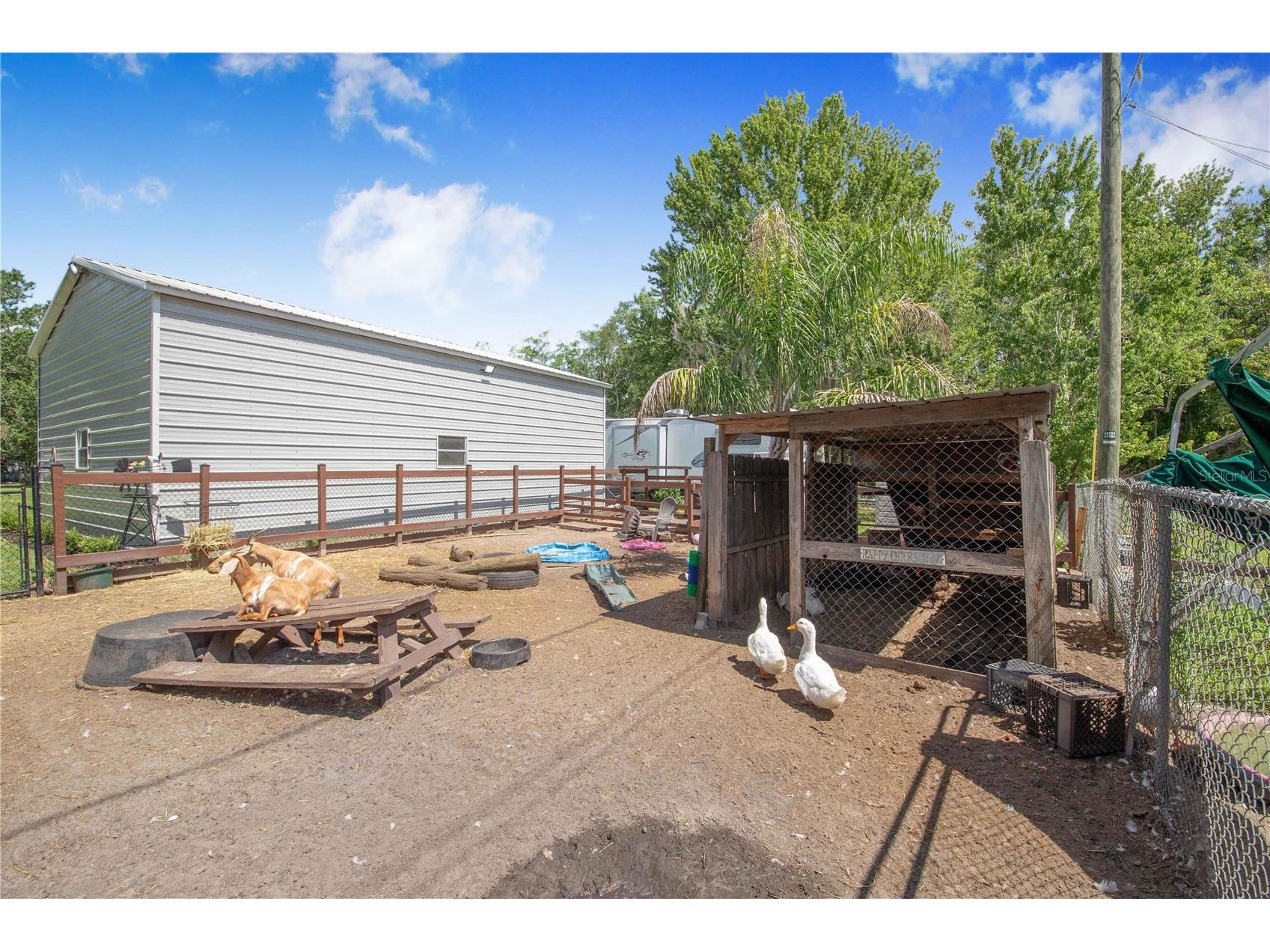 2236 1/2 Ellie Road Auburndale FL 33823 P4938882 image28