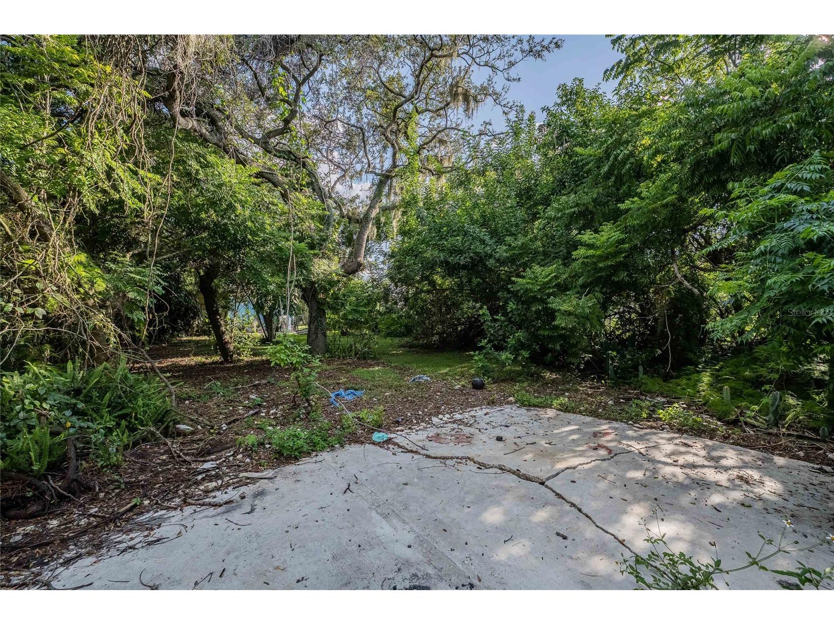 2236 Burns Street Lakeland FL 33801 TB8421343 image17