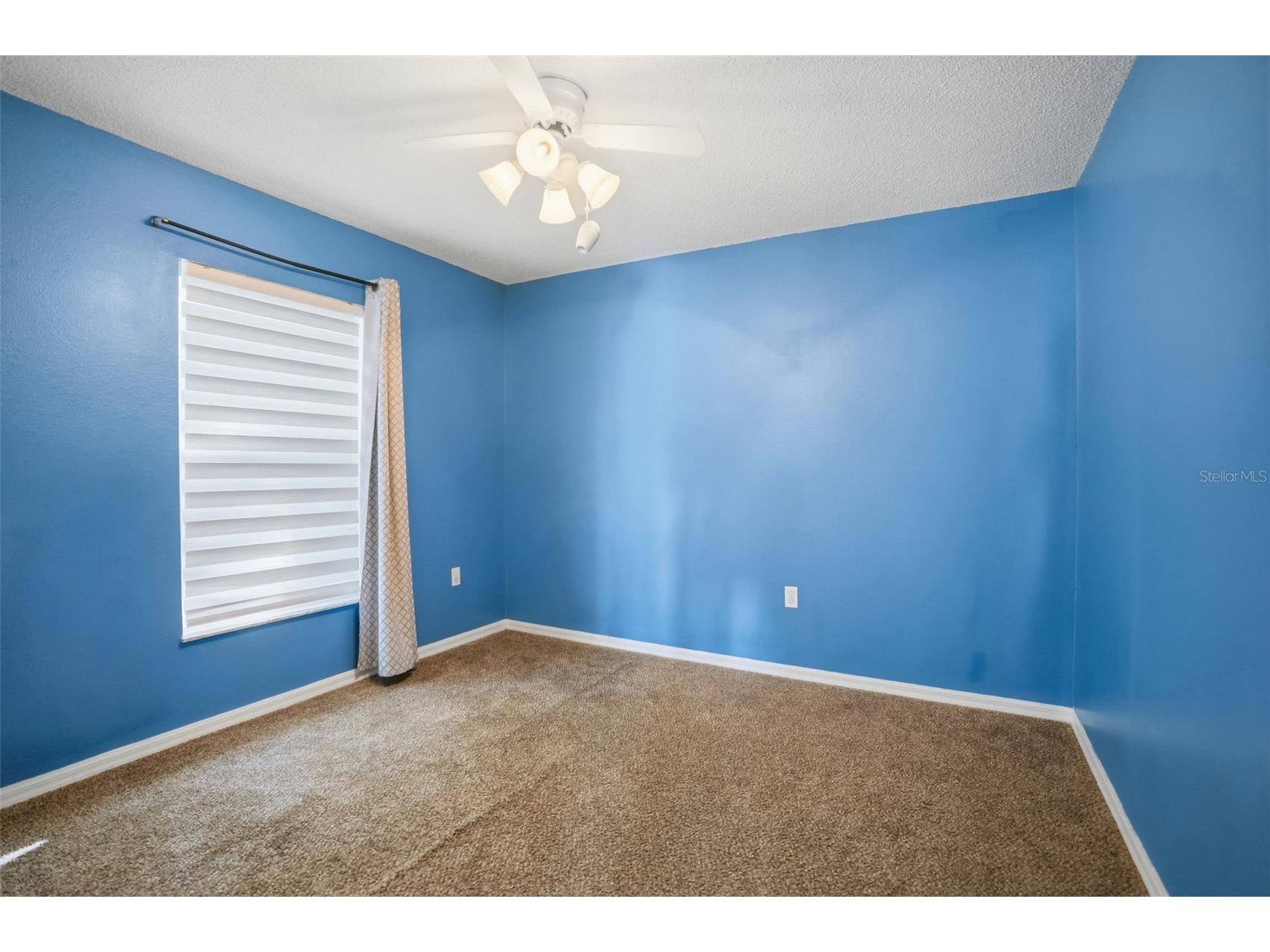 2263 Deborah Dr Spring Hill FL 34609 TB8508793 image23