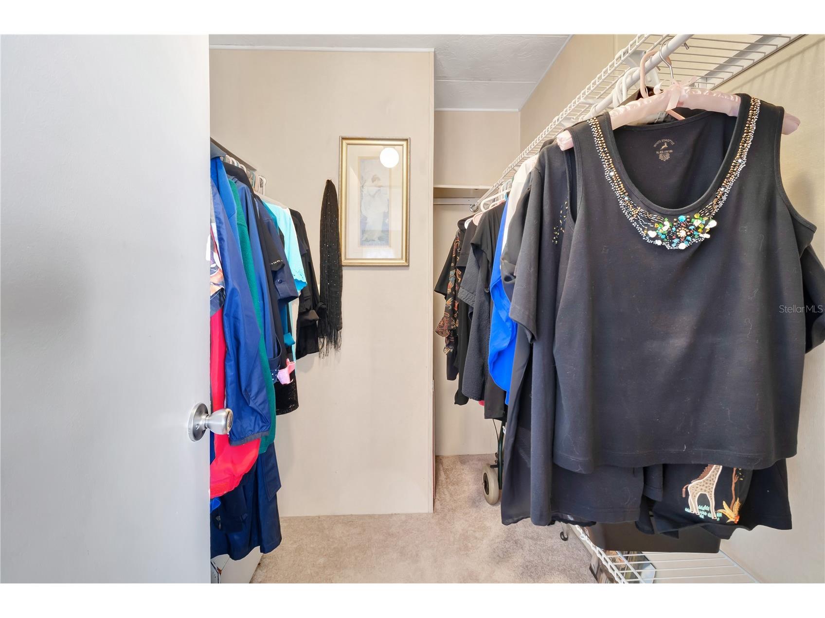 2236 Evergreen Circle #1704 Zellwood FL 32798 G5109731 image20