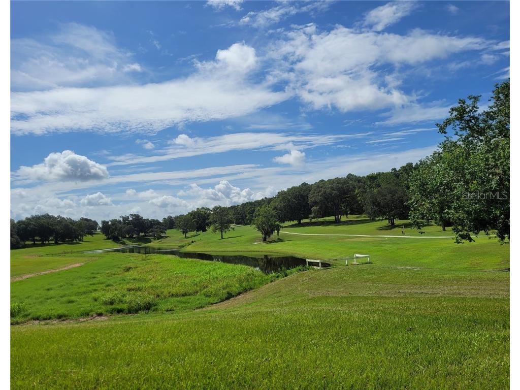 2236 Evergreen Circle #GE Zellwood FL 32798 - LAKE COHEN AND LAKE GRASSMERE O6357260 image28