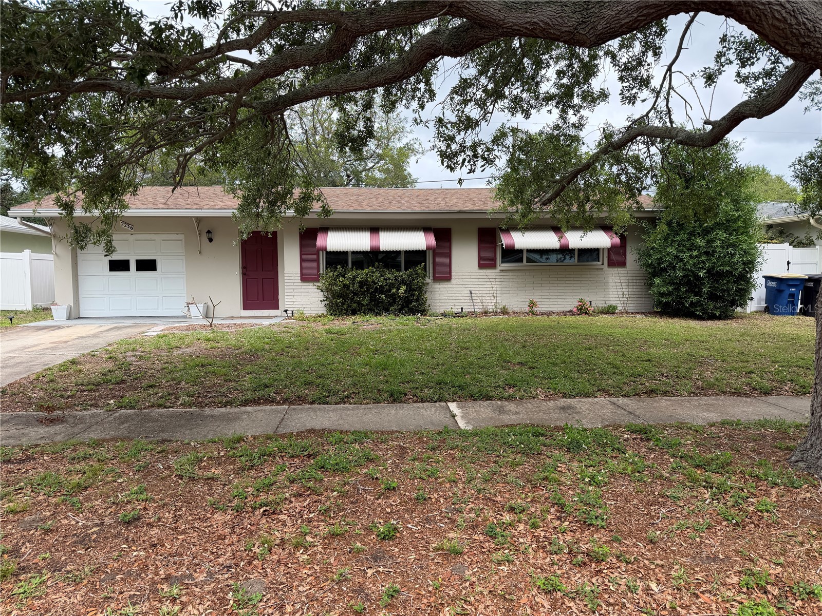 2236 Morningside Drive Clearwater FL 33764 TB8495860 image1