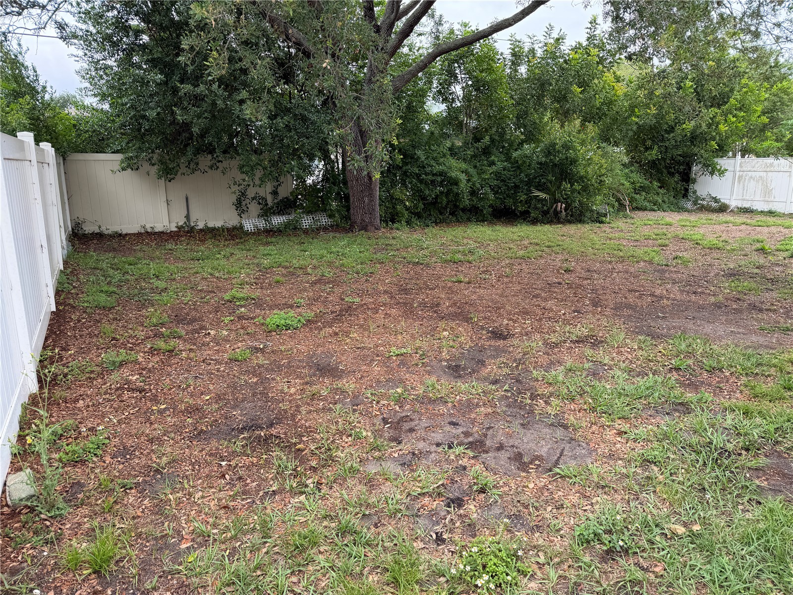 2236 Morningside Drive Clearwater FL 33764 TB8495860 image5