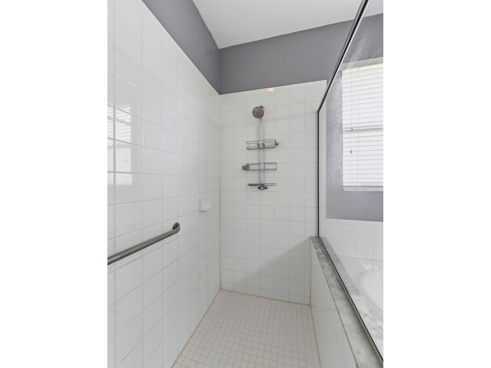 2236 Pantucket Drive Wesley Chapel FL 33543 TB8500533 image10
