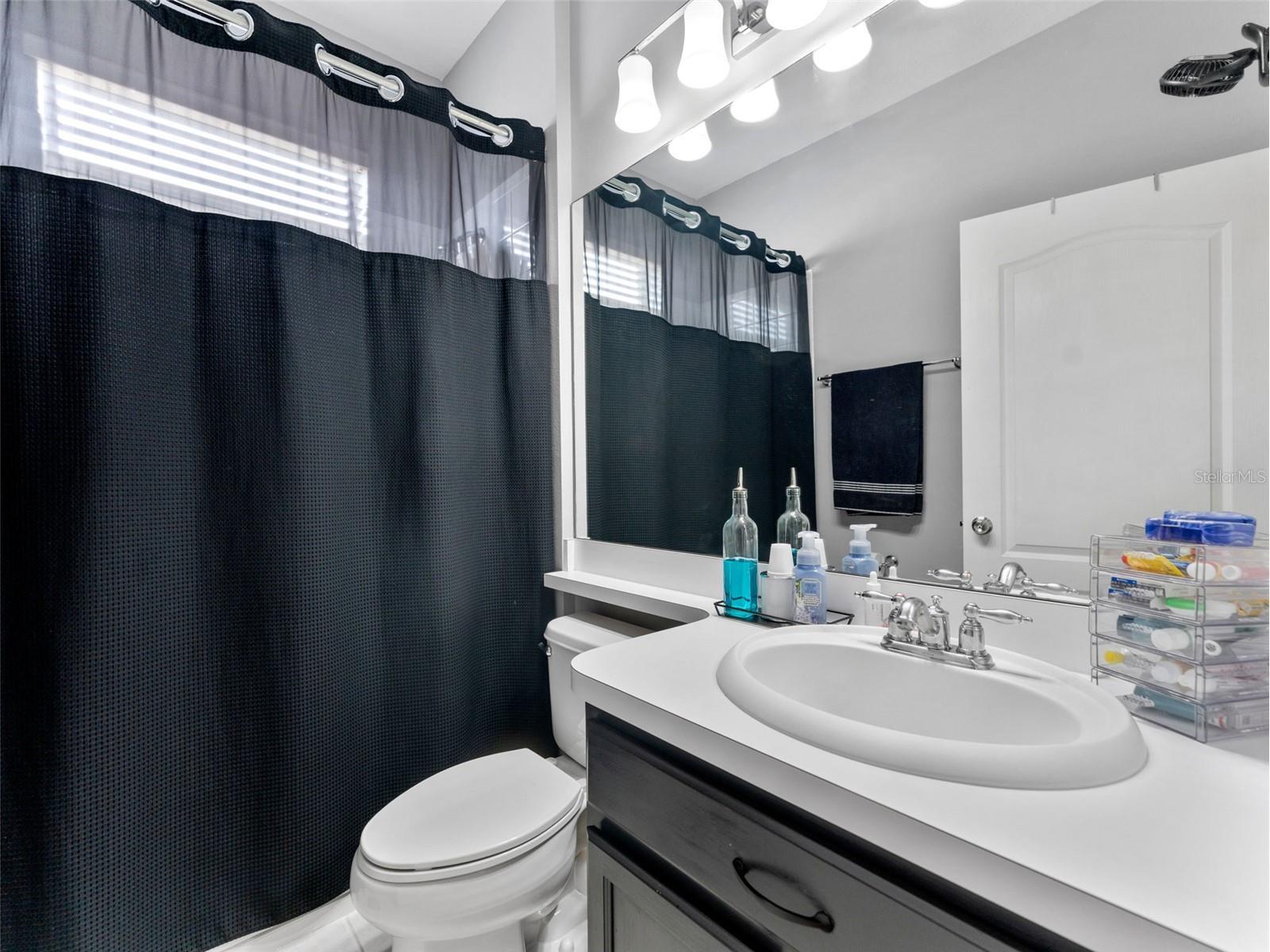2236 Pantucket Drive Wesley Chapel FL 33543 TB8500533 image12