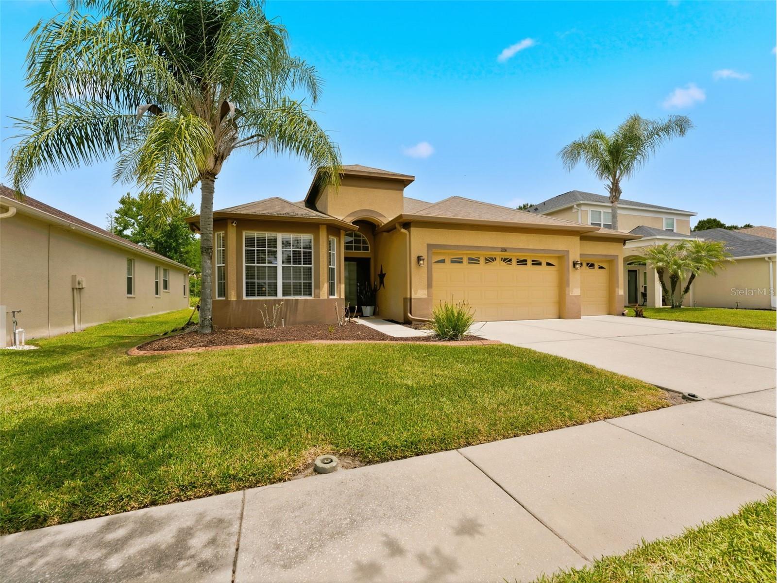 2236 Pantucket Drive Wesley Chapel FL 33543 TB8500533 image19