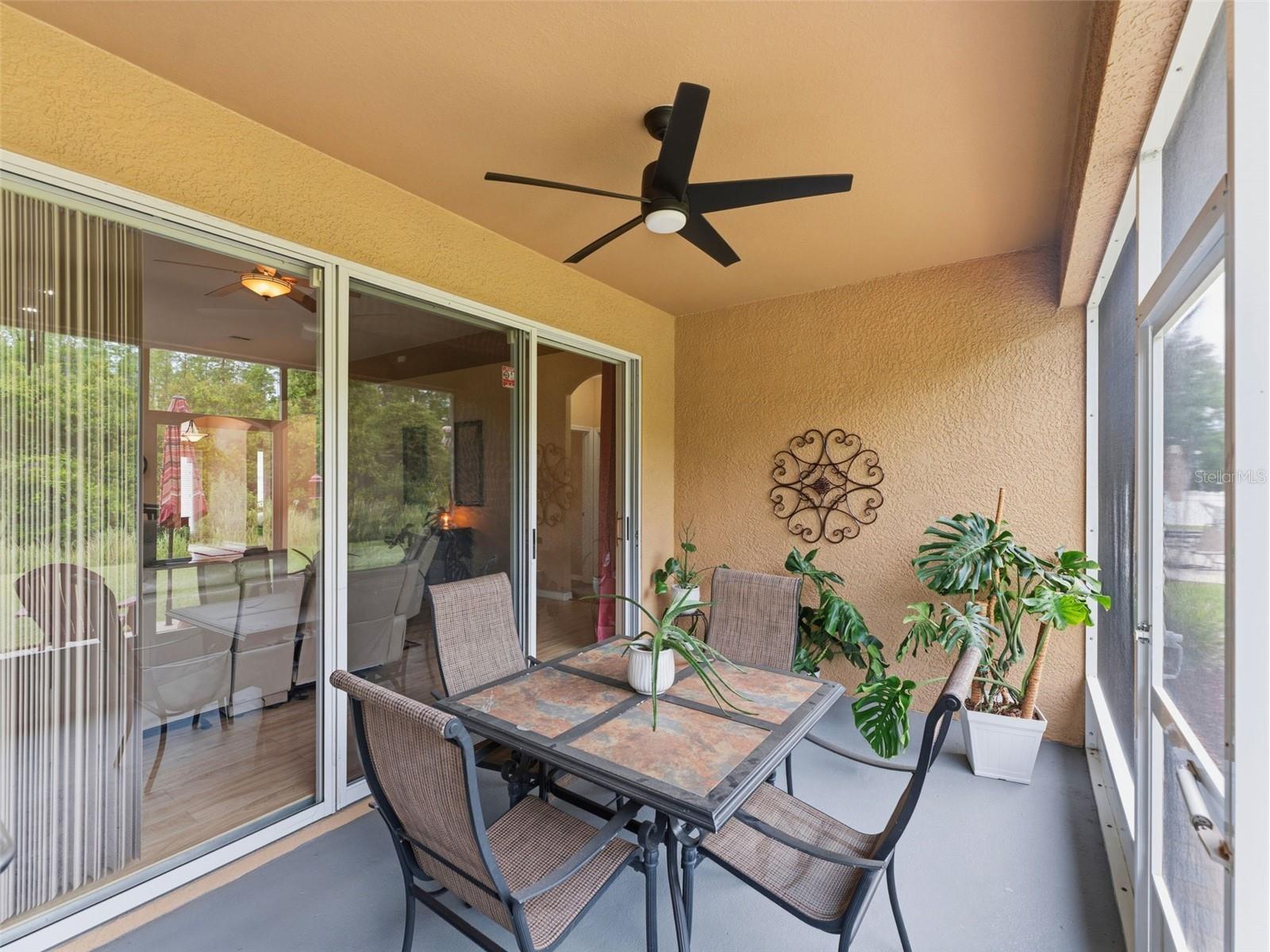 2236 Pantucket Drive Wesley Chapel FL 33543 TB8500533 image23