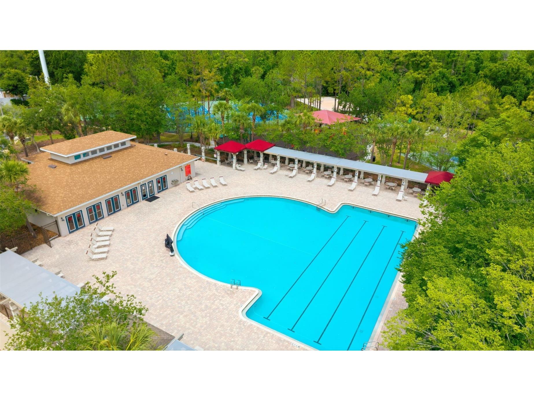 2236 Pantucket Drive Wesley Chapel FL 33543 TB8500533 image27