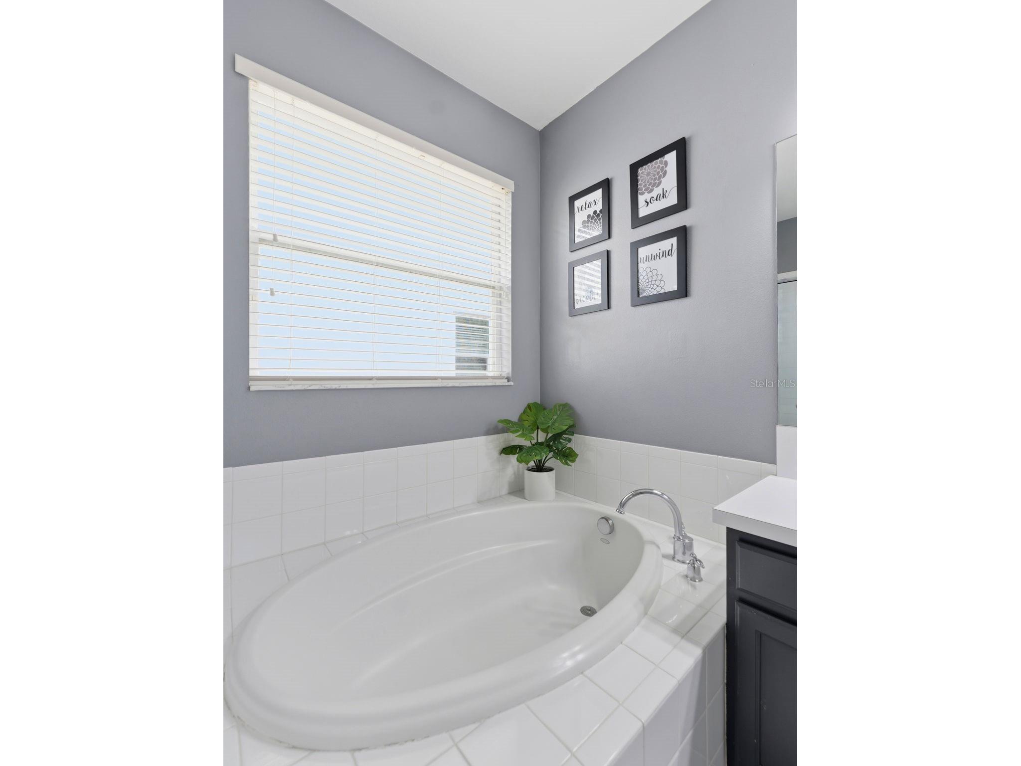 2236 Pantucket Drive Wesley Chapel FL 33543 TB8500533 image9