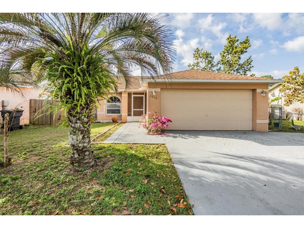 2236 Ridgemore Drive Valrico FL 33594 T3516637 image1